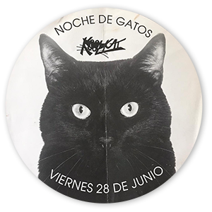KOOLCAT2
